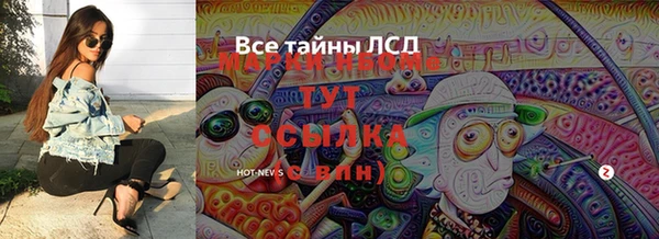 эйфоретик Алзамай