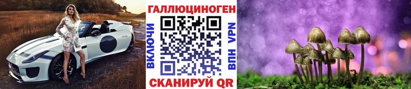 ссылка на мегу ССЫЛКА наркошоп Миньяр Псилоцибиновые грибы Psilocybine cubensis
