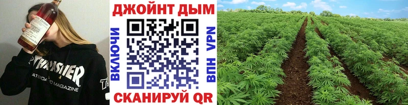 Канабис конопля  Миньяр 